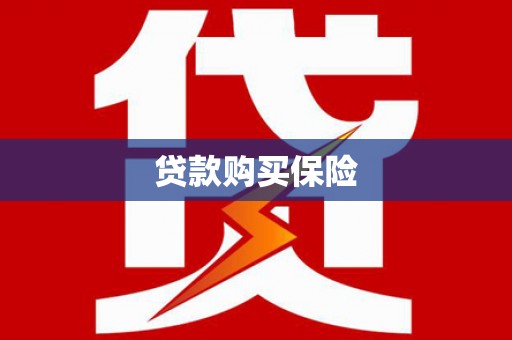 任县贷款购买保险