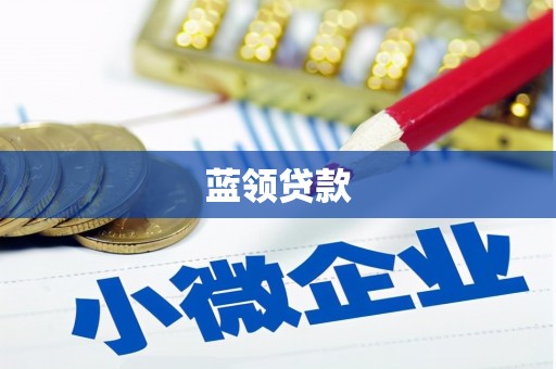 任县蓝领贷款