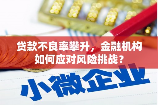 任县贷款不良率攀升，金融机构如何应对风险挑战？