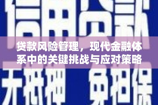 任县贷款风险管理，现代金融体系中的关键挑战与应对策略