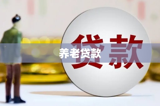 任县养老贷款