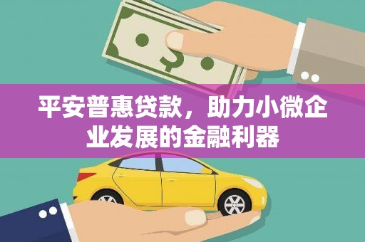 任县平安普惠贷款，助力小微企业发展的金融利器