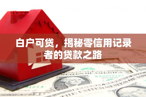 任县白户可贷，揭秘零信用记录者的贷款之路