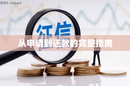 任县从申请到还款的完整指南