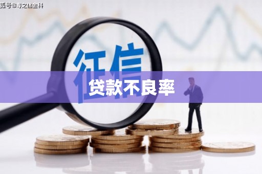 任县贷款不良率