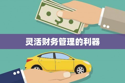 任县灵活财务管理的利器