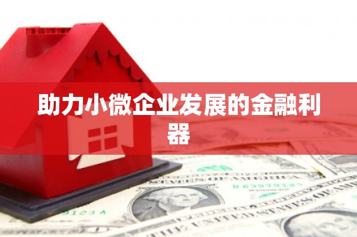 任县助力小微企业发展的金融利器