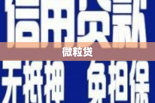 任县微粒贷