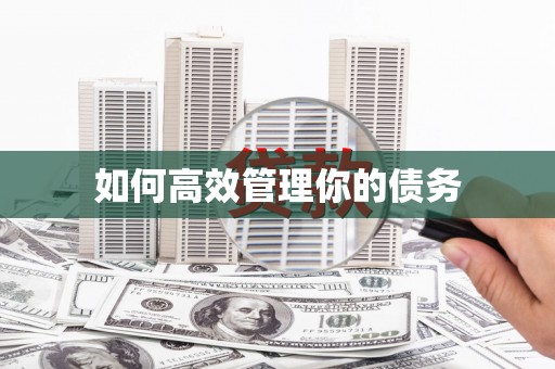 任县如何高效管理你的债务
