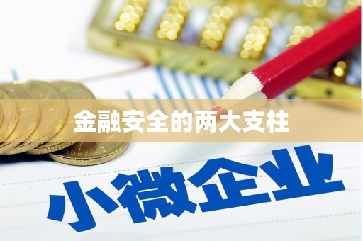 任县金融安全的两大支柱