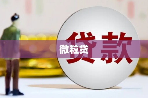 任县微粒贷