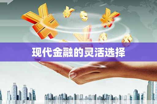 任县现代金融的灵活选择