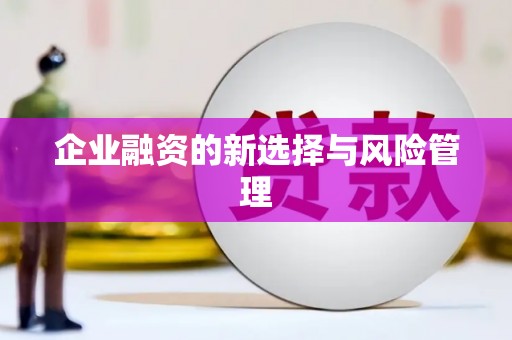任县企业融资的新选择与风险管理