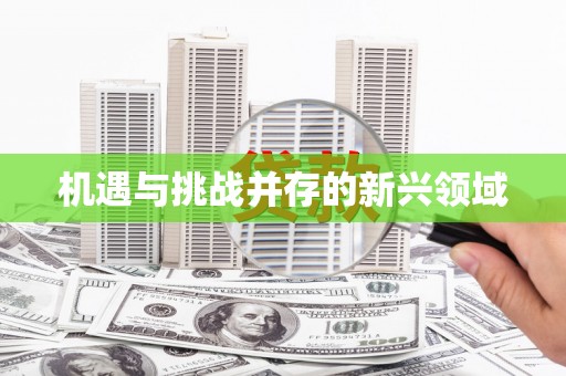任县机遇与挑战并存的新兴领域