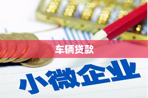 任县车辆贷款