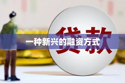 任县一种新兴的融资方式
