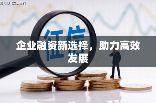 任县企业融资新选择，助力高效发展