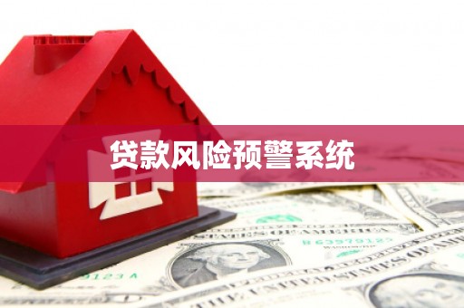 任县贷款风险预警系统